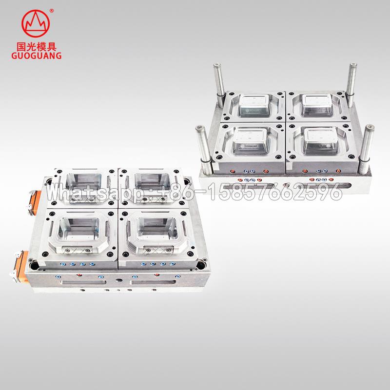 plastic fresh fruit box mould maker